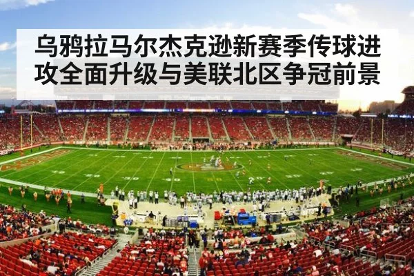 NFL football stadium game action