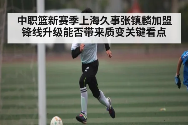 中职篮新赛季上海久事张镇麟加盟锋线升级能否带来质变关键看点